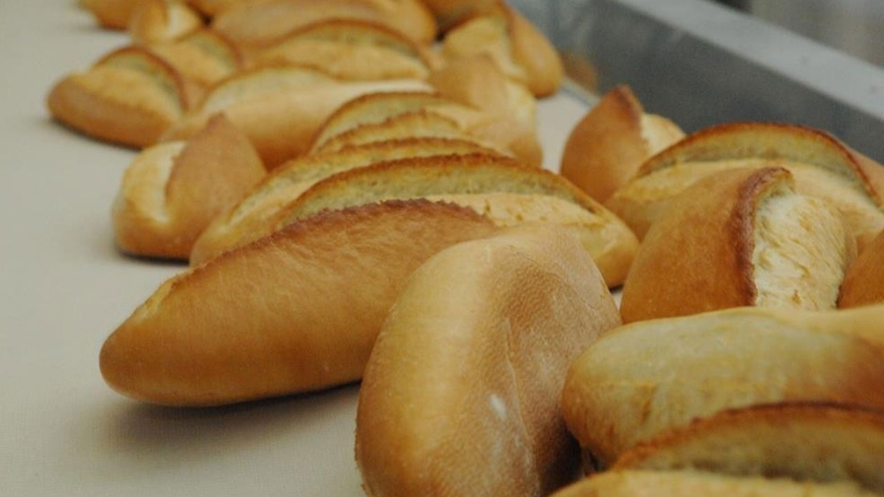 Türkiye'de çöpe atılan ekmeklerle her yıl 500 okul yapılabiliyor!
