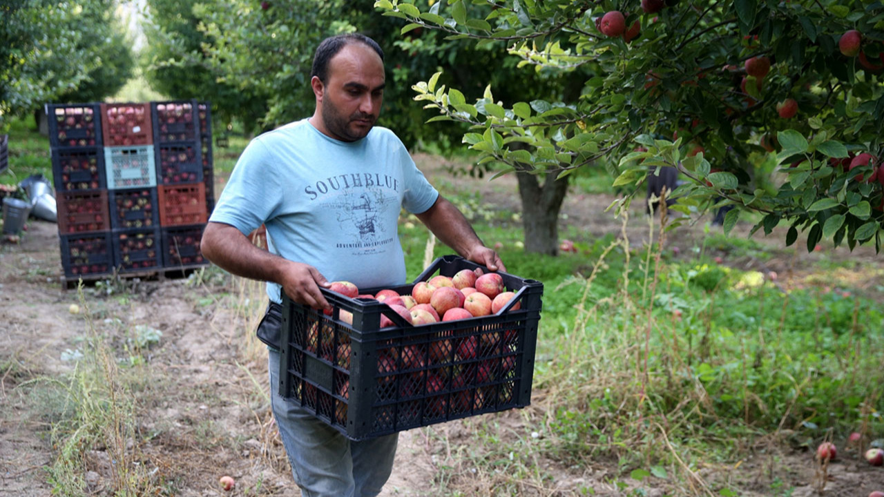 36 bin nüfuslu ilçeden 18 ülkeye elma ihracatı!