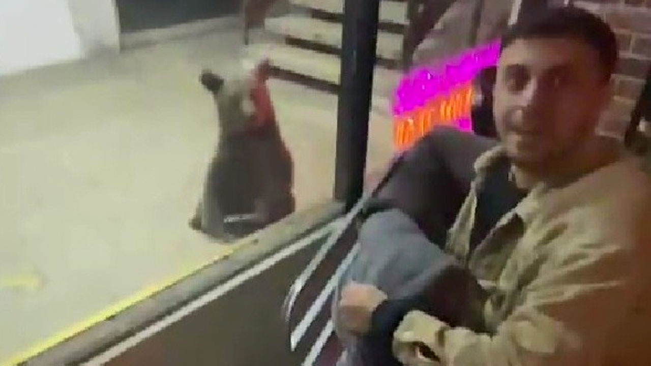 Karabük'te şehir merkezine inen ayılar iş hanına girerek esnaflara saldırdı