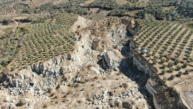 Zeytin bahçesinde korkutan hasat ölümle burun buruna çalışıyorlar