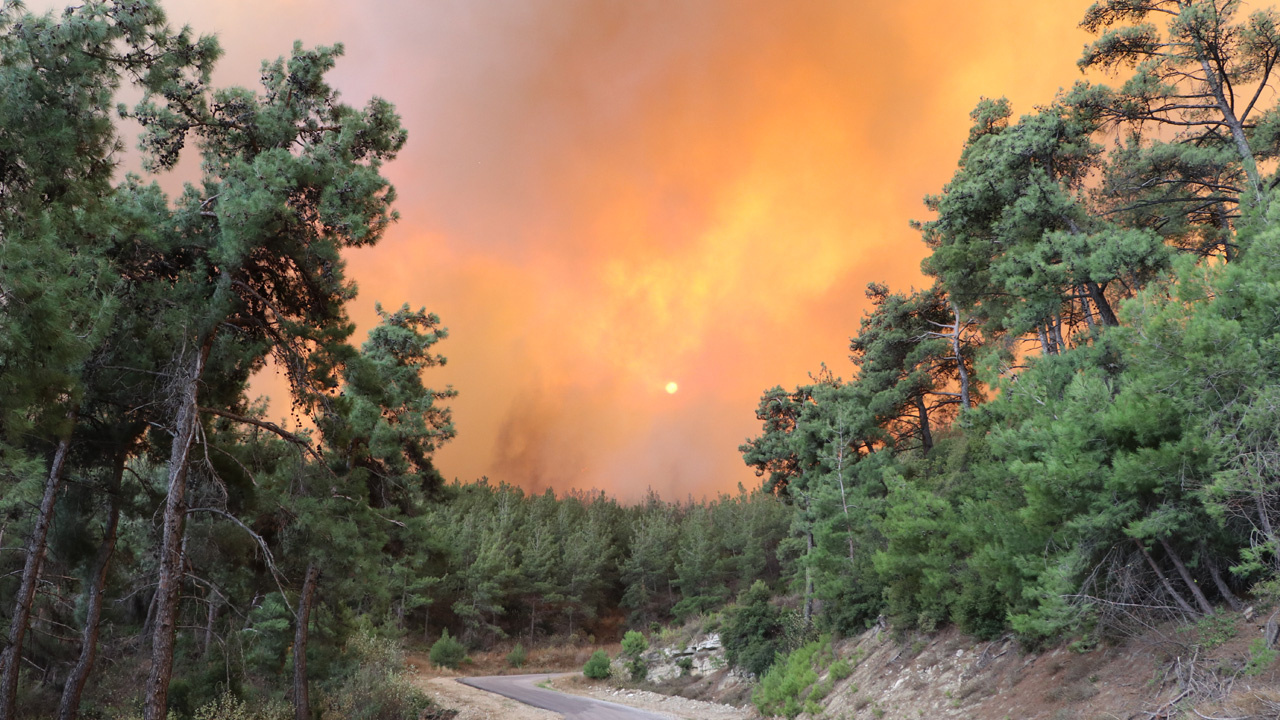 Muğla ve Çanakkale'de orman yangını çıktı! Rüzgarla birlikte alevler yayıldı