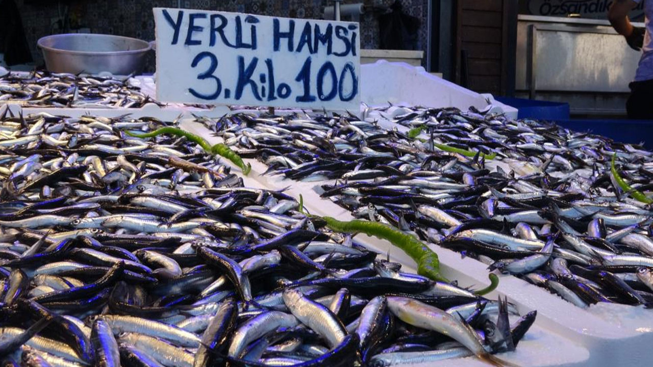 Trabzon'da hamsinin 3 kilosu 100 liradan satılıyor!