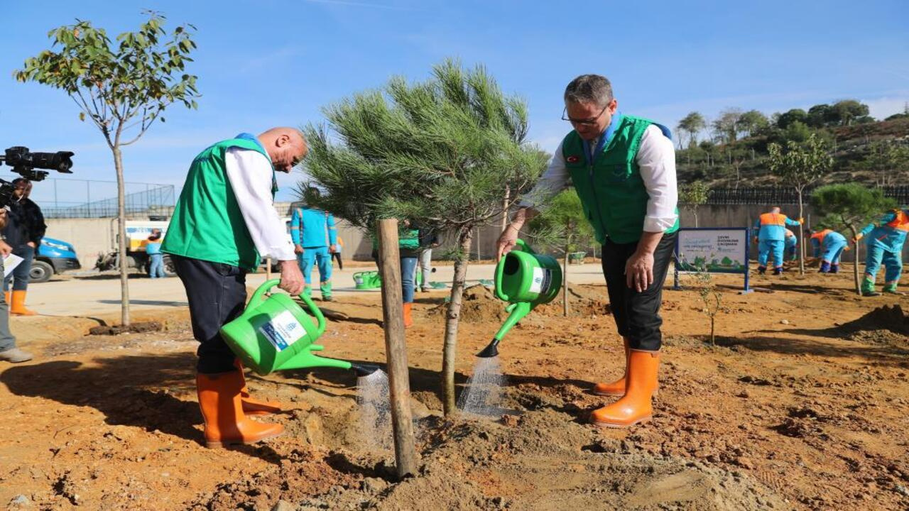Başakşehir’de 1 milyon ağaç toprakla buluşacak