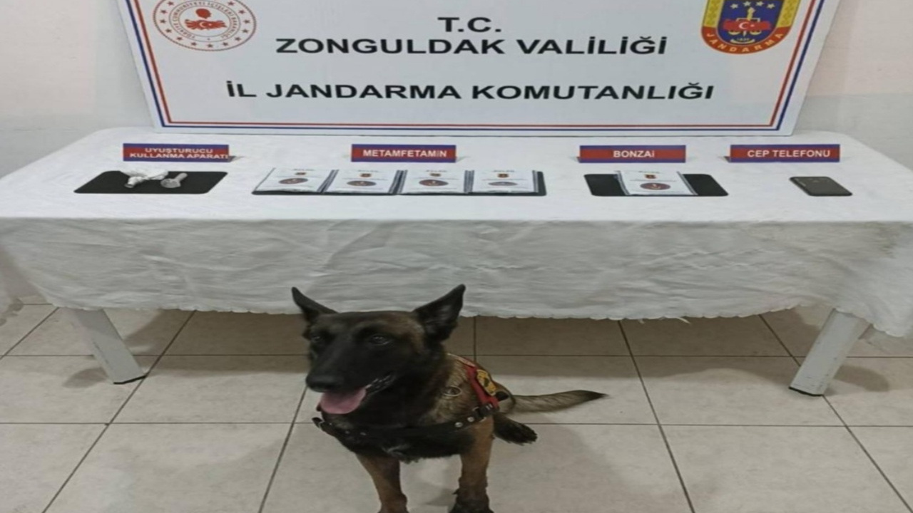Zonguldak'ta jandarmadan uyuşturucu operasyonu 8 gözaltı
