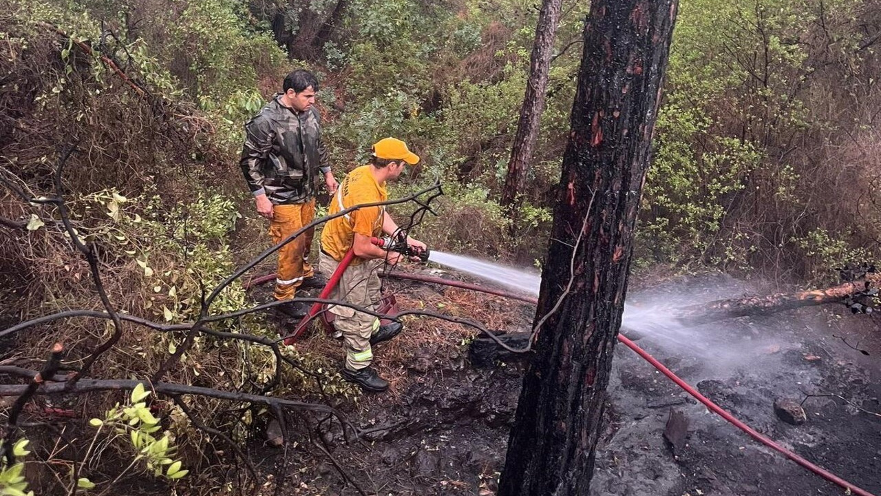 Muğla’nın Marmaris ilçesinde yıldırım kaynaklı orman yangını  meydana geldi