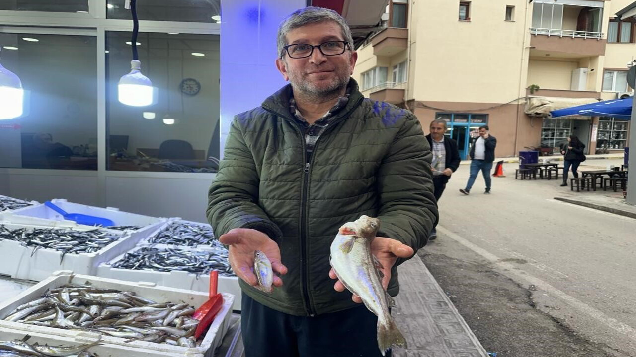 Sinop Karadeniz'de 300 gramlık mezgit yakalandı