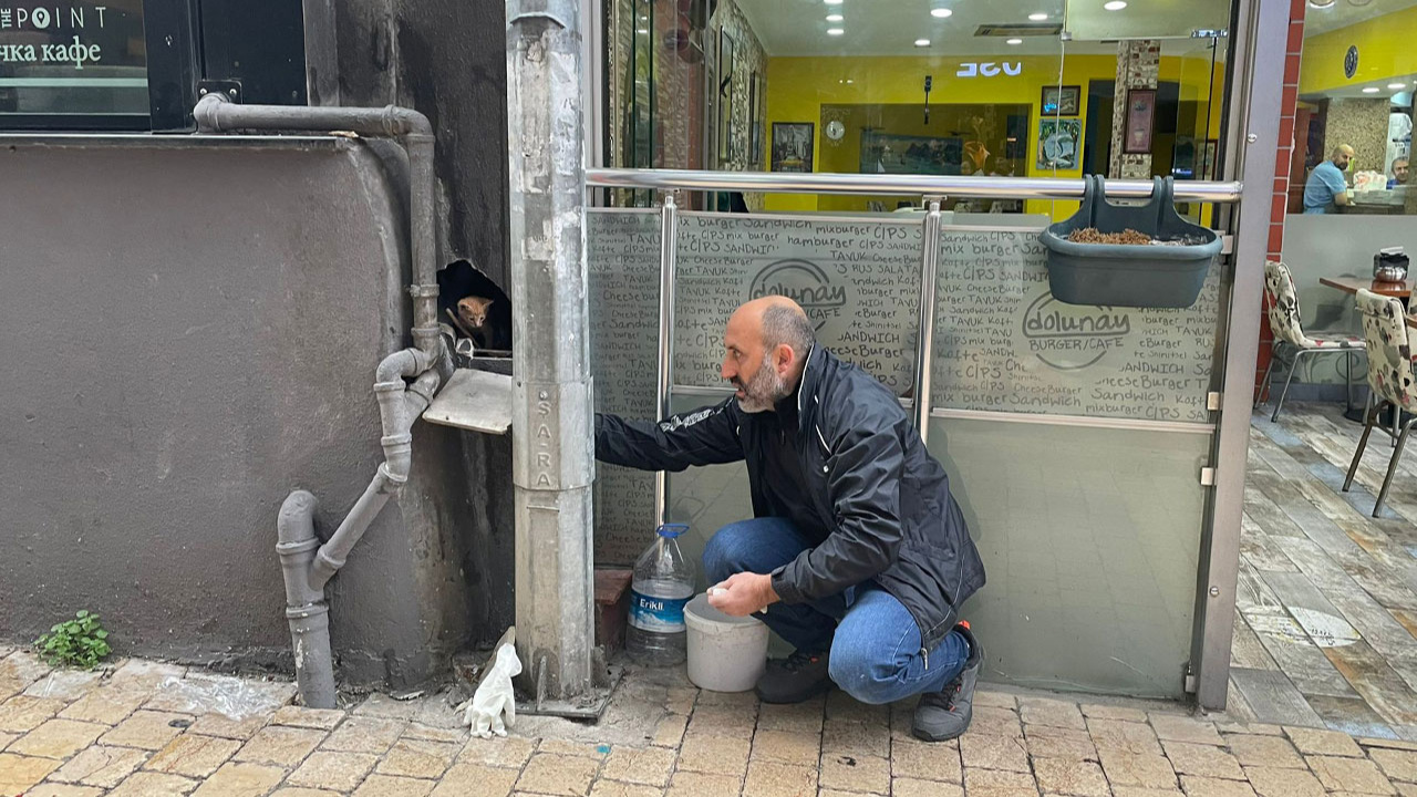 Trabzon'da kedi yavrusunu kurtarmak için duvarı kırdılar!