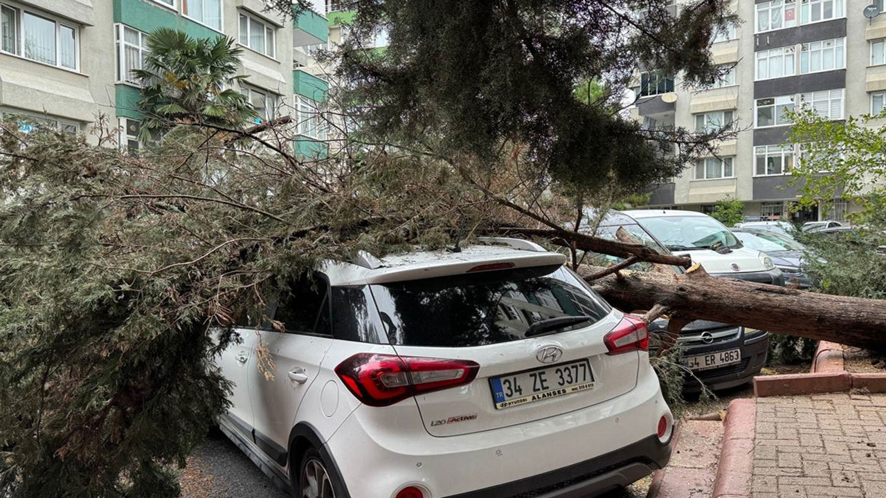 İstanbul'da fırtına! Ağaçlar devrildi, çatılar uçtu görüntülere bakın!