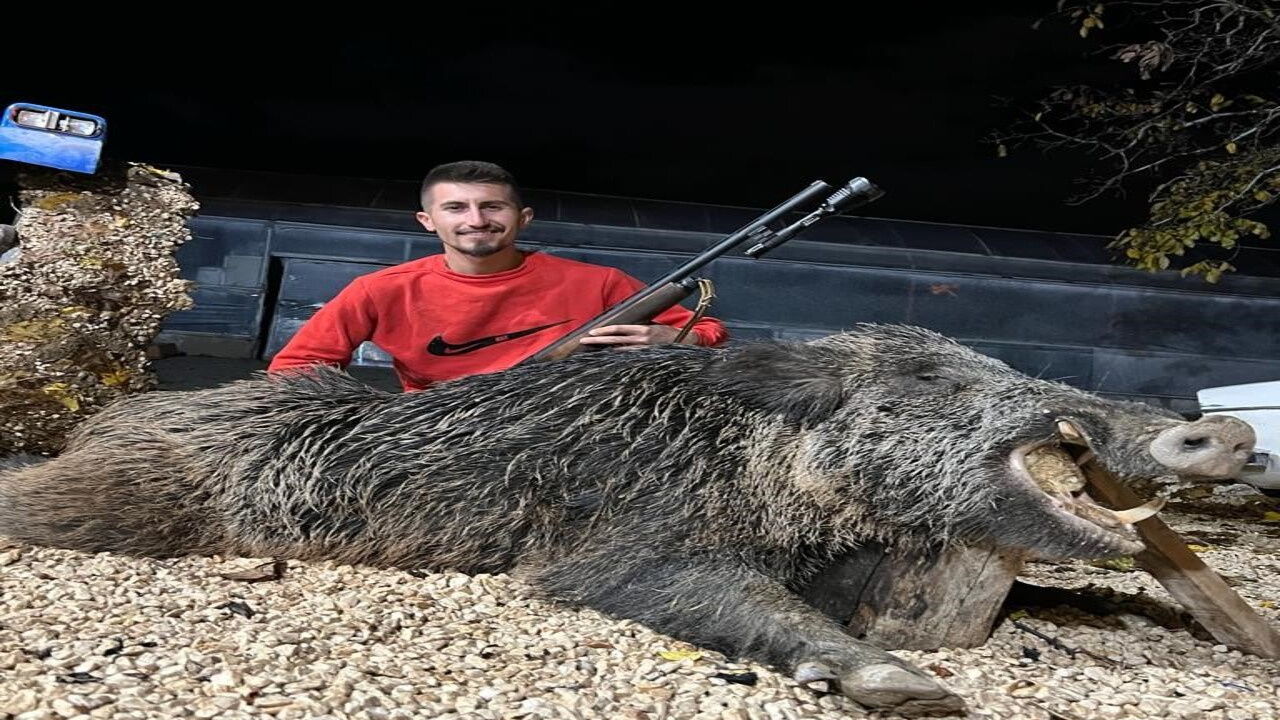 Antalya'da bahçesine musallat olan dev domuzu vurarak öldürdü