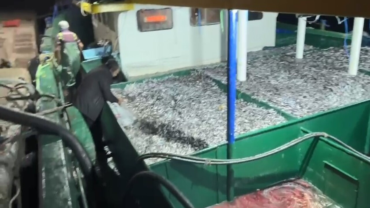 Kastamonu'da fırtınanın ardından denize açılan balıkçılar hamsiyle döndü