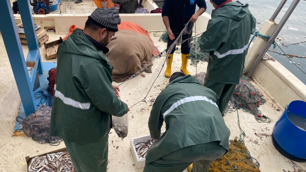 Zonguldak’ta balıkçılar limana 500 kilogram mezgitle demir attı