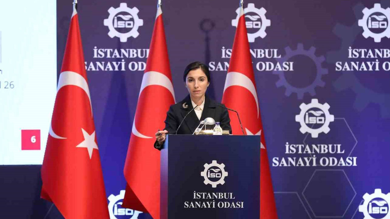 TCMB Başkanı  Hafize Gaye Erkan'dan peş peşe kritik toplantılar