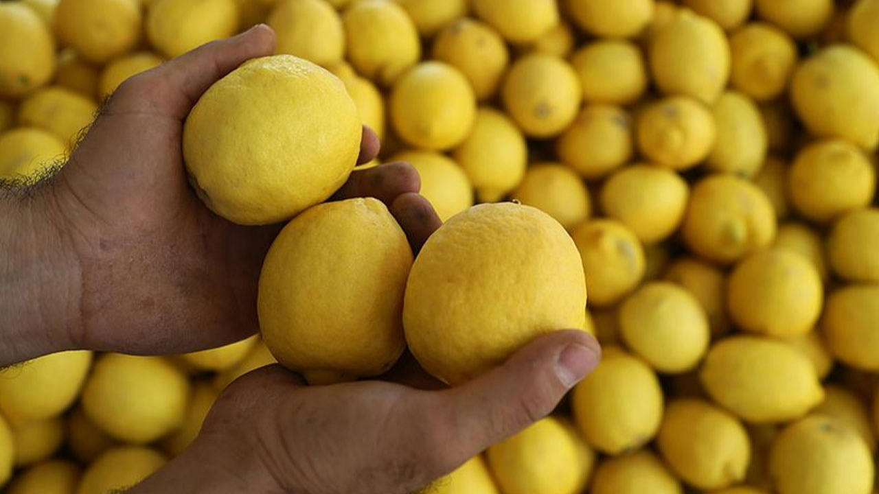 Adıyaman'da depremzedelere 25 tona yakın limon dağıtıldı