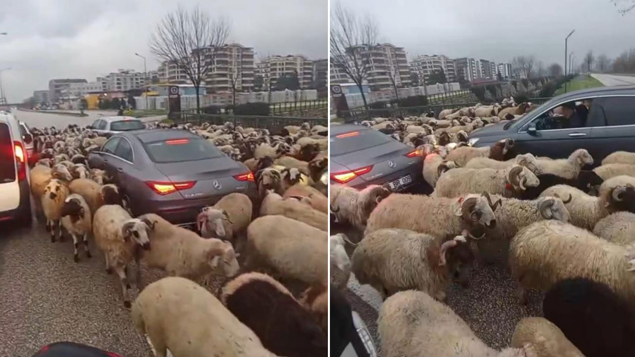 Koyun sürüsü çevre yoluna çıktı, trafikte uzun kuyruklar oluştu!