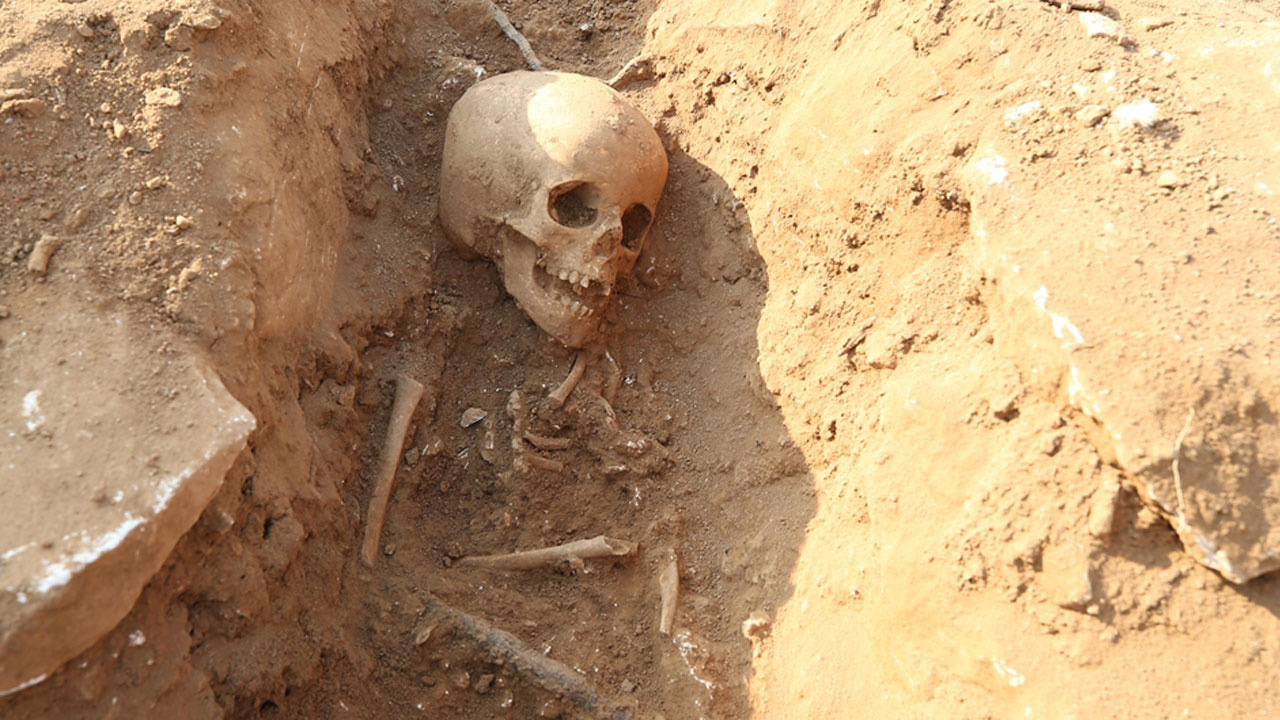 Diyarbakır'daki kazılarda ortaya çıktı! 54 çocuk iskeleti bulundu