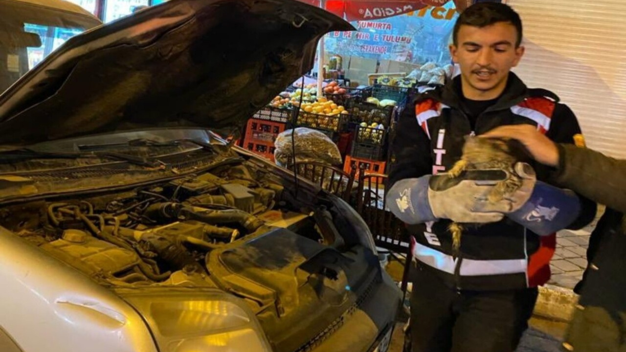 Iğdır'da otomobilin motoruna sıkışan yavru kedi kurtarıldı
