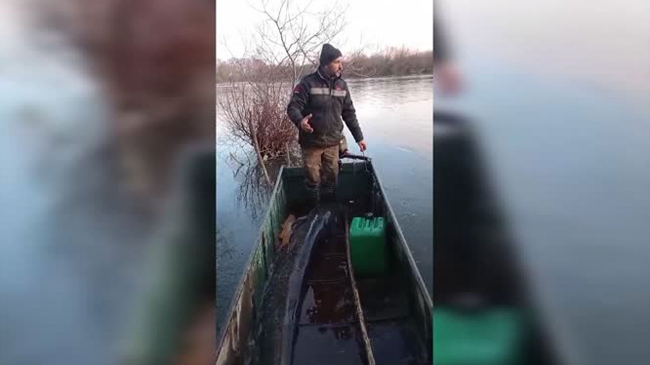 Amatör balıkçı 71 kilogramlık yayın balığı yakaladı!