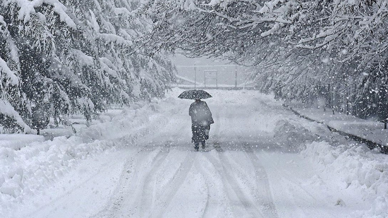 Japonya’da kar kalınlığı yarım metreyi aştı: 800 araç mahsur kaldı!