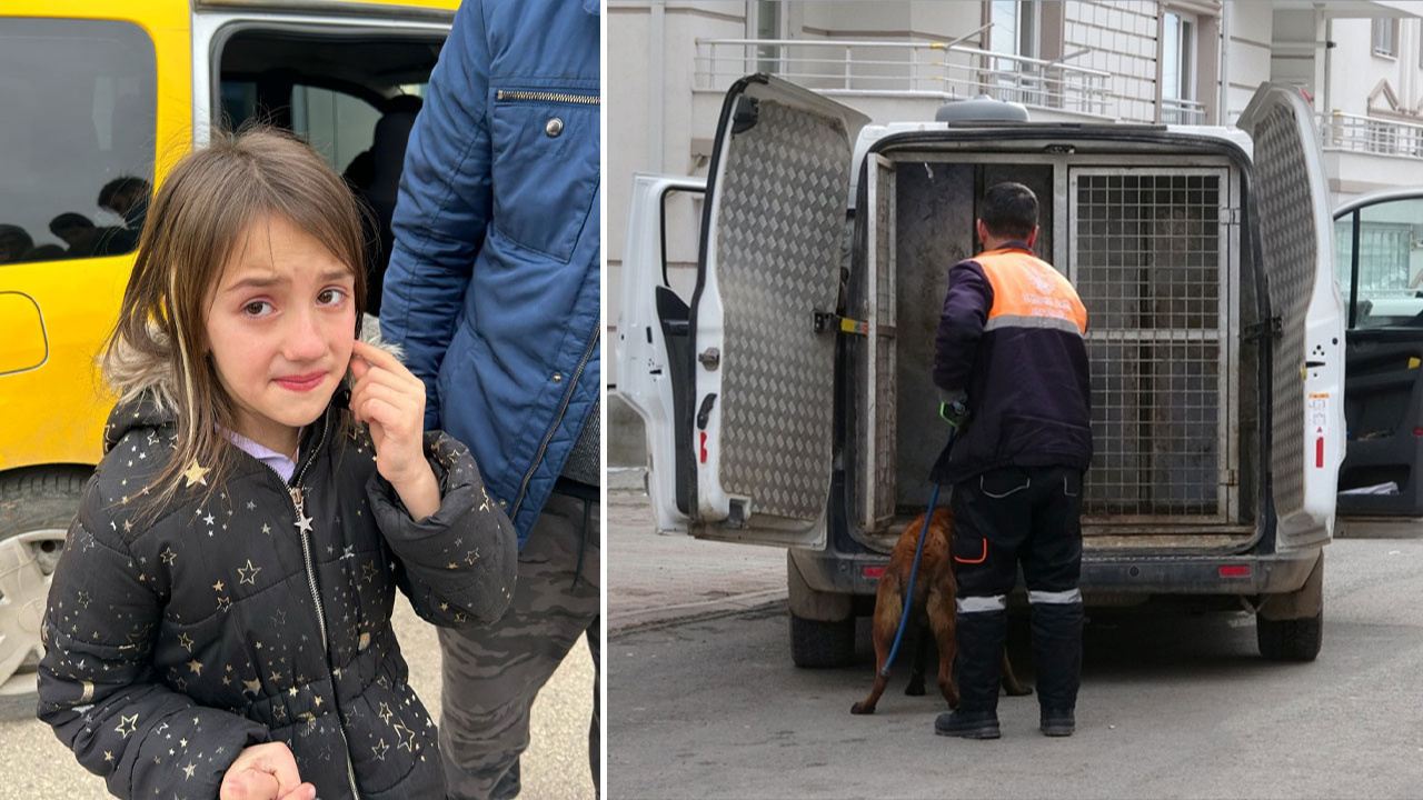 Sivas'ta köpeğin saldırdığı 2'si çocuk, 4 kişi yaralandı!