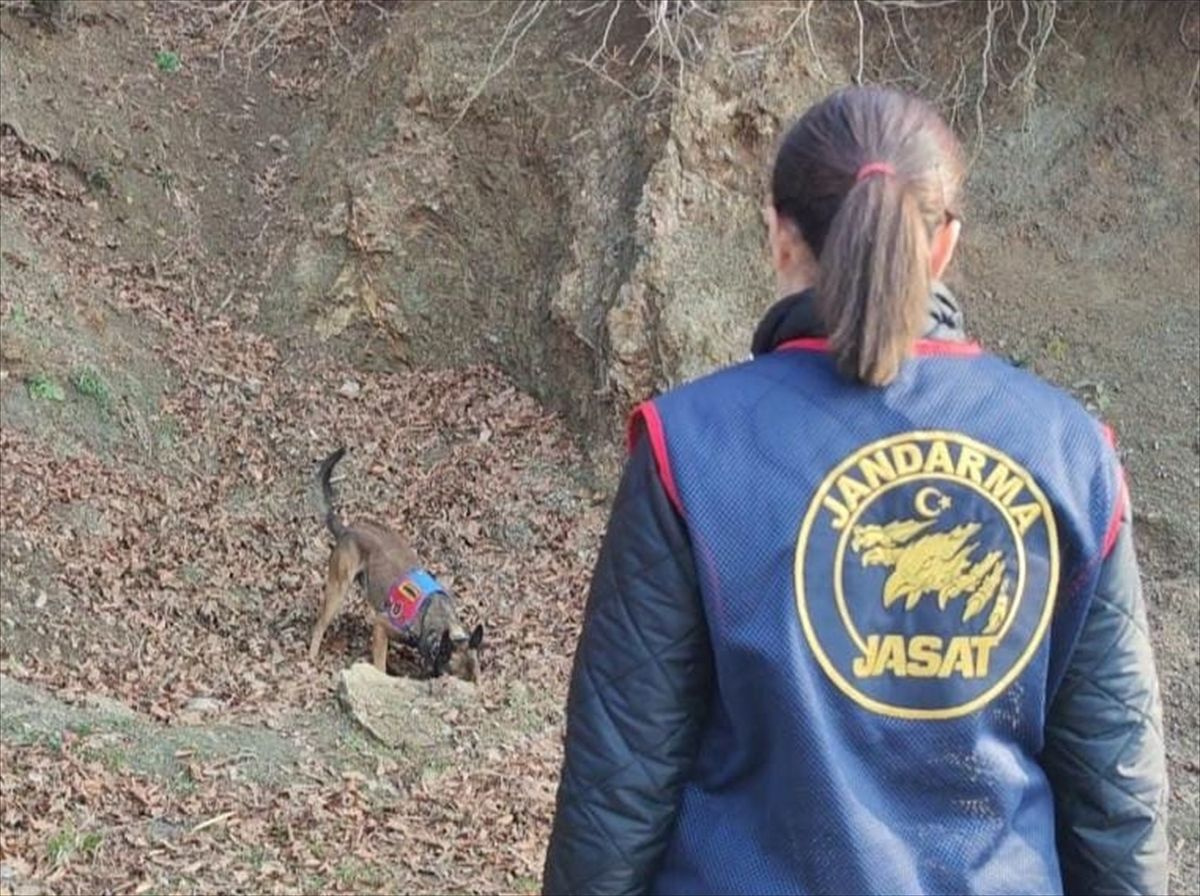 Kan donduran vahşet! Yasak aşktan doğan çocuklarını ve 7 aylık hamile annelerini öldürdü