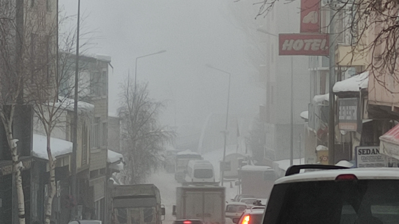 Ardahan'da soğuk hava ve sis etkili oldu