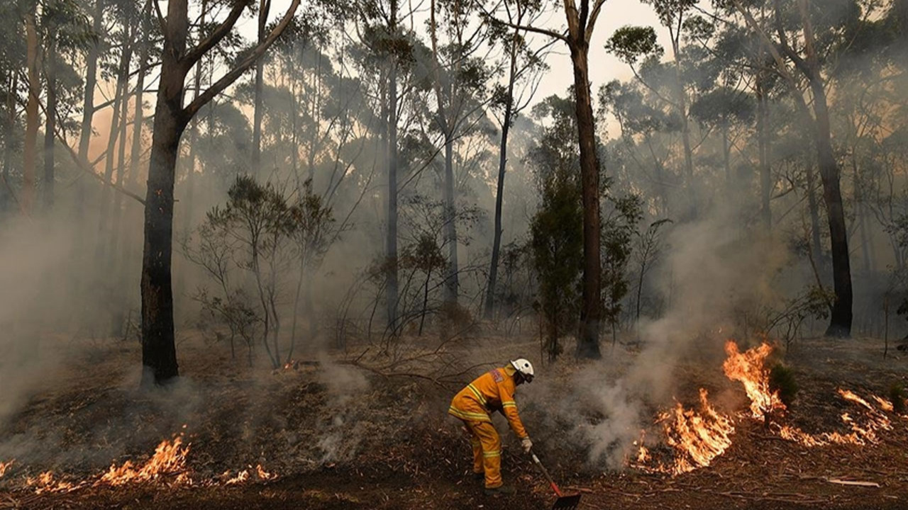 Avustralya'daki orman yangınları "felaket boyutlara" ulaşabilir!