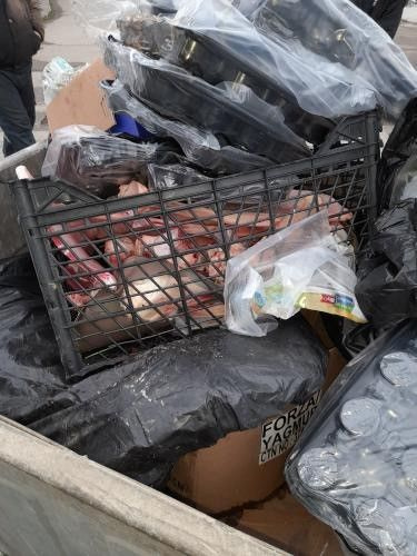 Düzce'de çöp konteynırında bulunan etinden sıyrılmış kemiklerin sırrı çözüldü
