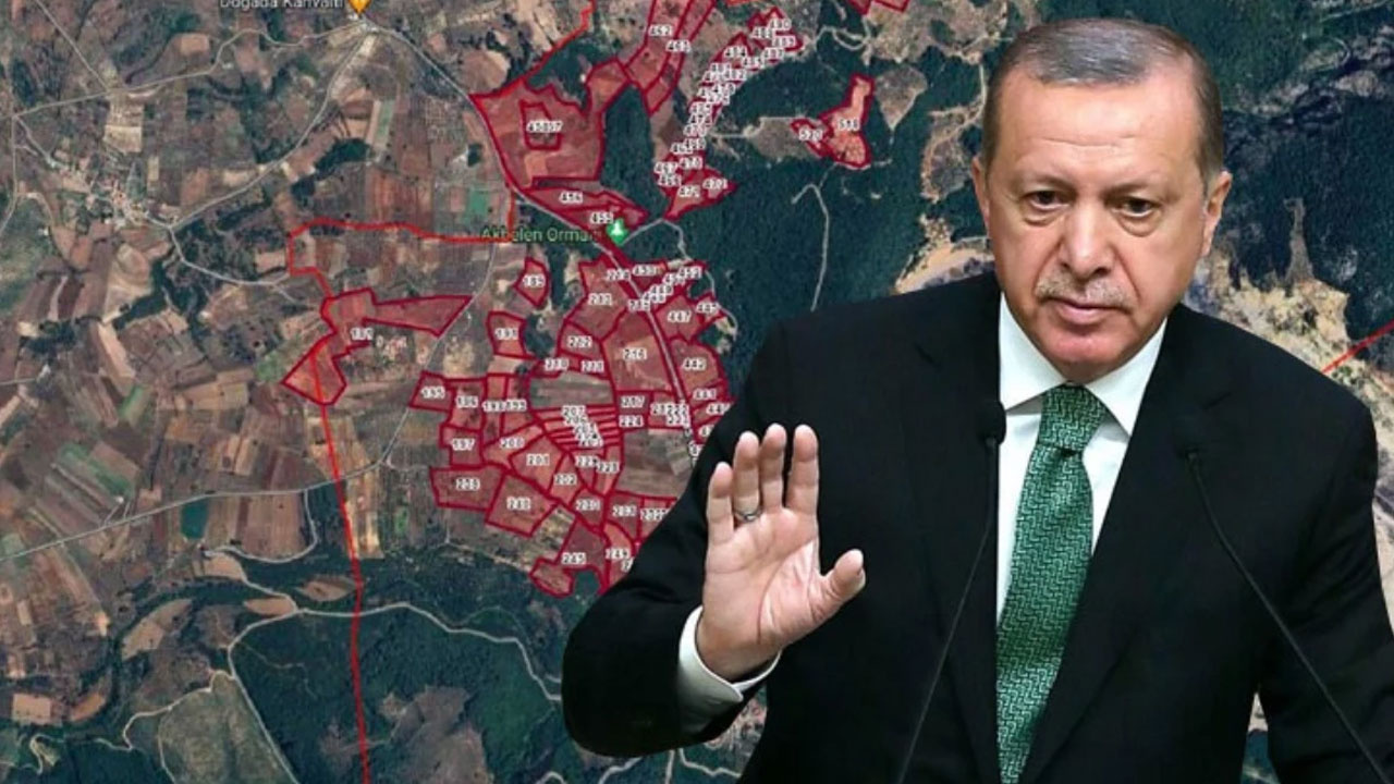 Erdoğan, Akbelen'deki arazileri kamulaştırma kararını iptal etti