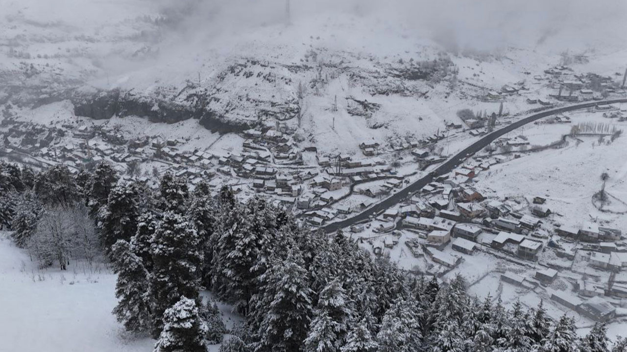 Ardahan, Erzurum ve Kars karla kaplandı! Soğuk hava etkili