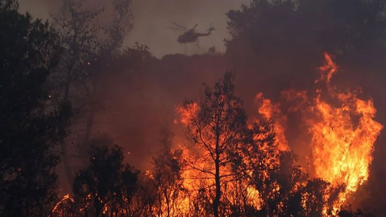 Yunanistan'da 31 Mart'ta başlayan orman yangını sürüyor