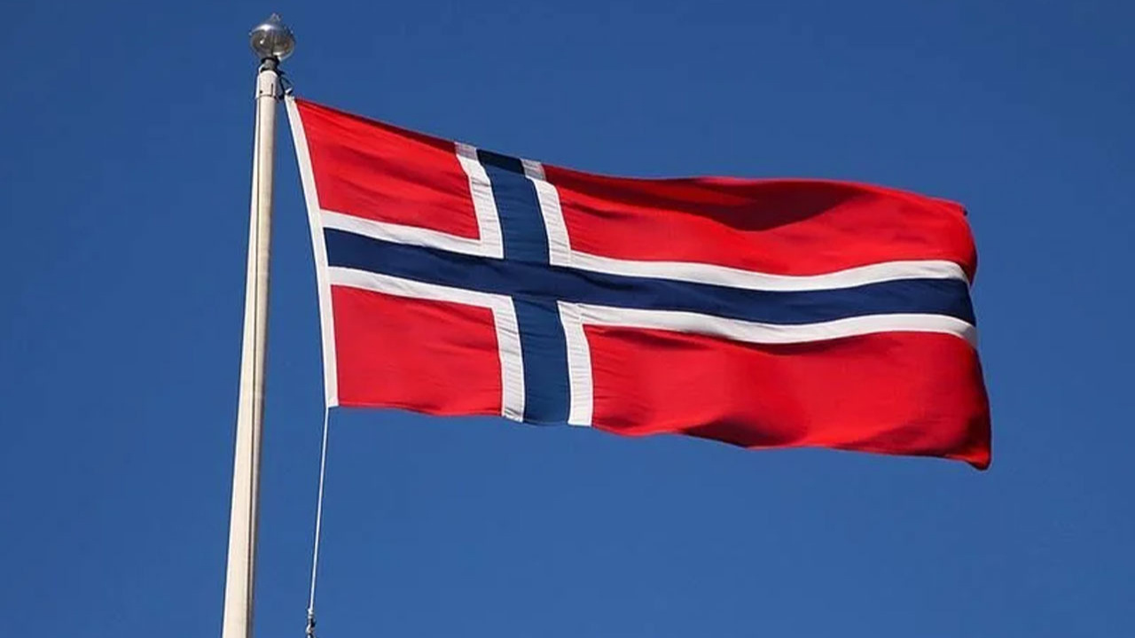 Norveç Sağlık Bakanı, intihal suçlamasının ardından istifa etti