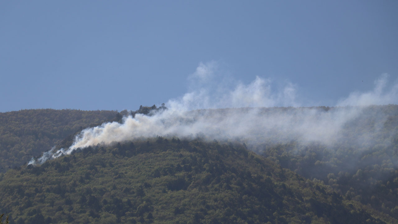 Bursa'da, Uludağ eteklerinde orman yangını çıktı