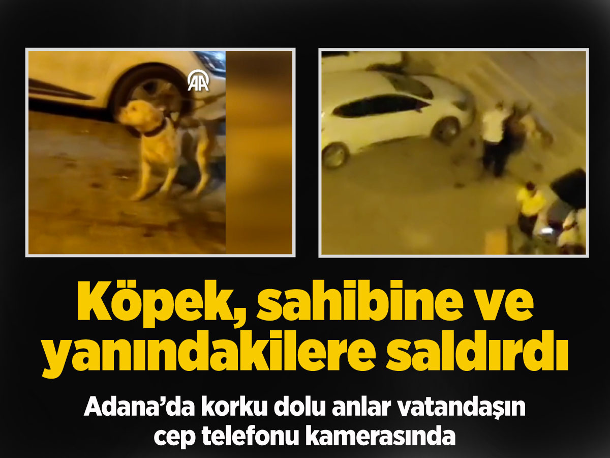 Adana'da köpek dehşeti! Sahibine ve yanındaki 2 kişiye saldırdı o anlar kamerada