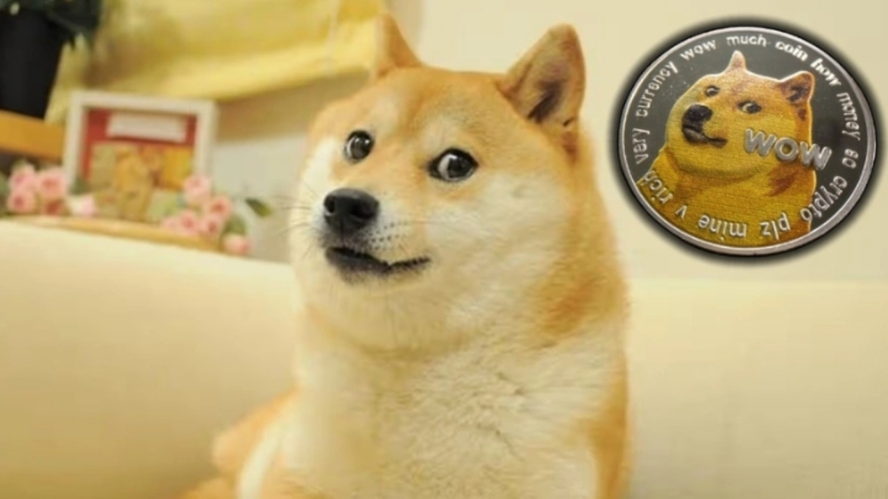 Dogecoin'in simgesiydi! Fenomen köpek hayatını kaybetti