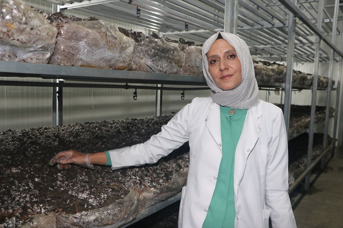 Anne oğluyla birlikte üretiyor, toptancılar satın almak için sırada bekliyor! "Şimdiki hedefimiz..."