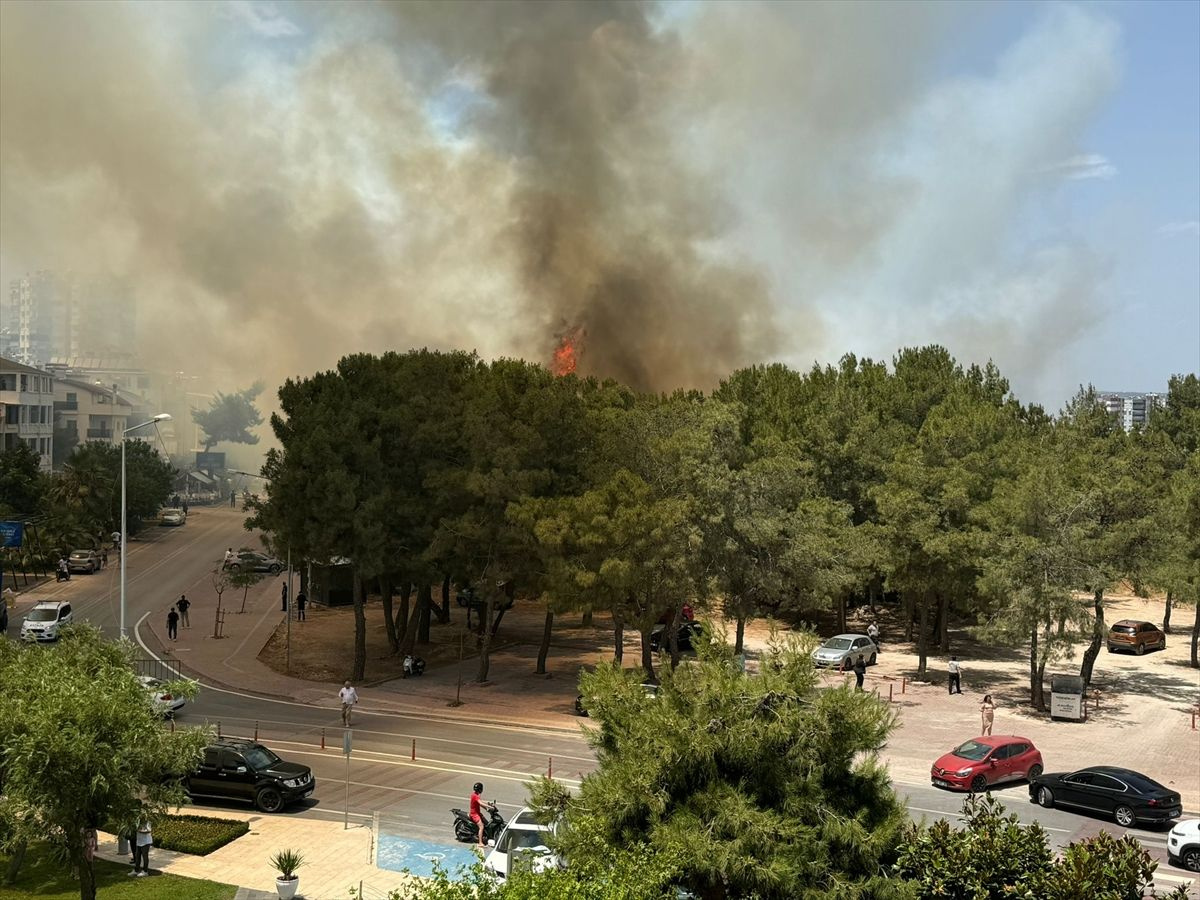 Antalya'da büyük panik! Yerleşim yerine yakın ağaçlık alanda yangın çıktı