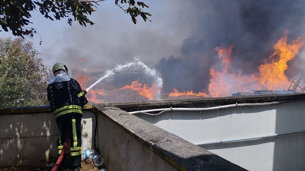 Kocaeli'de palet fabrikasında çıkan yangın kontrol altına alındı