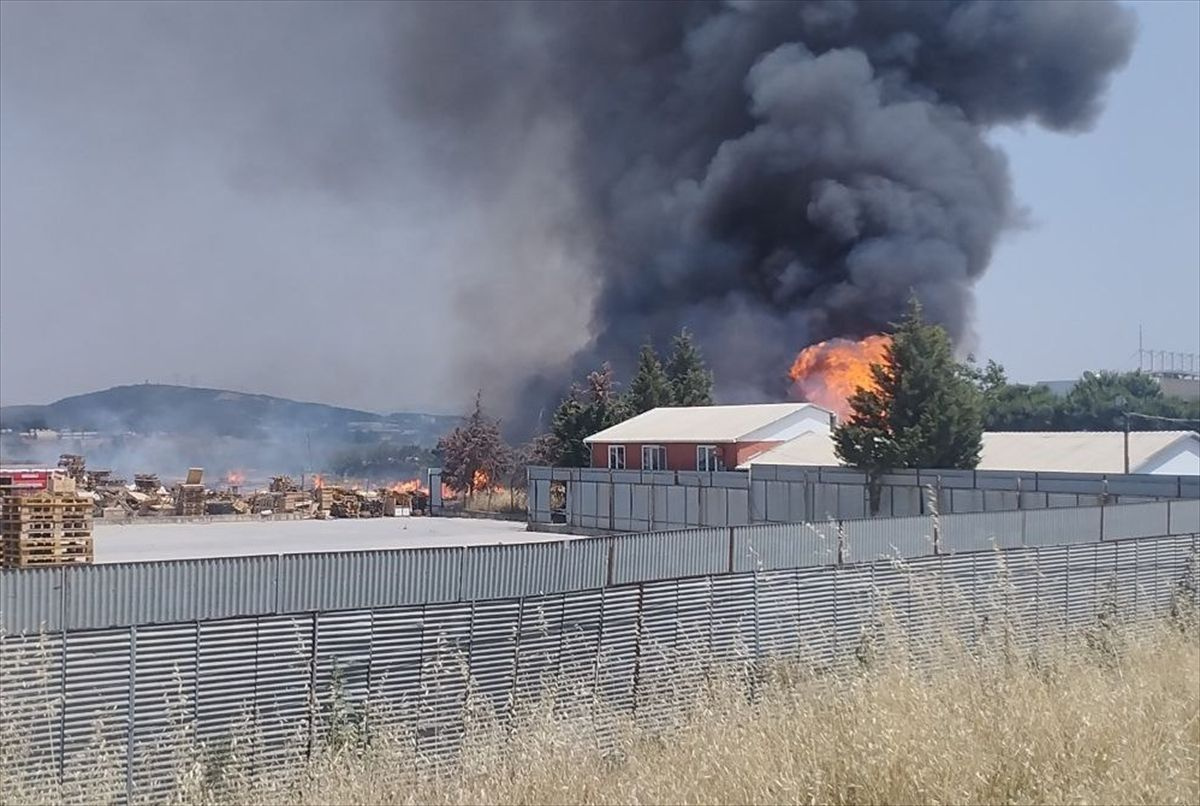 Kocaeli'de palet fabrikasında çıkan yangın kontrol altına alındı