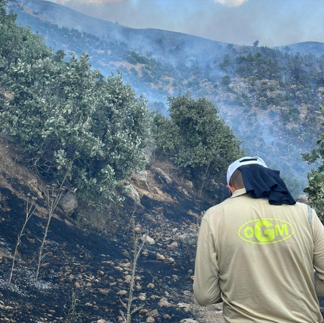 Manisa, Uşak ve Siirt'te orman yangını! 2 mahallede yaşayan 430 kişi tahliye edildi