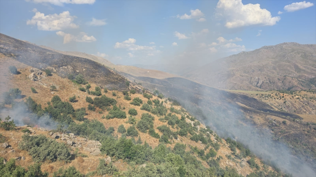 Manisa, Uşak ve Siirt'te orman yangını! 2 mahallede yaşayan 430 kişi tahliye edildi