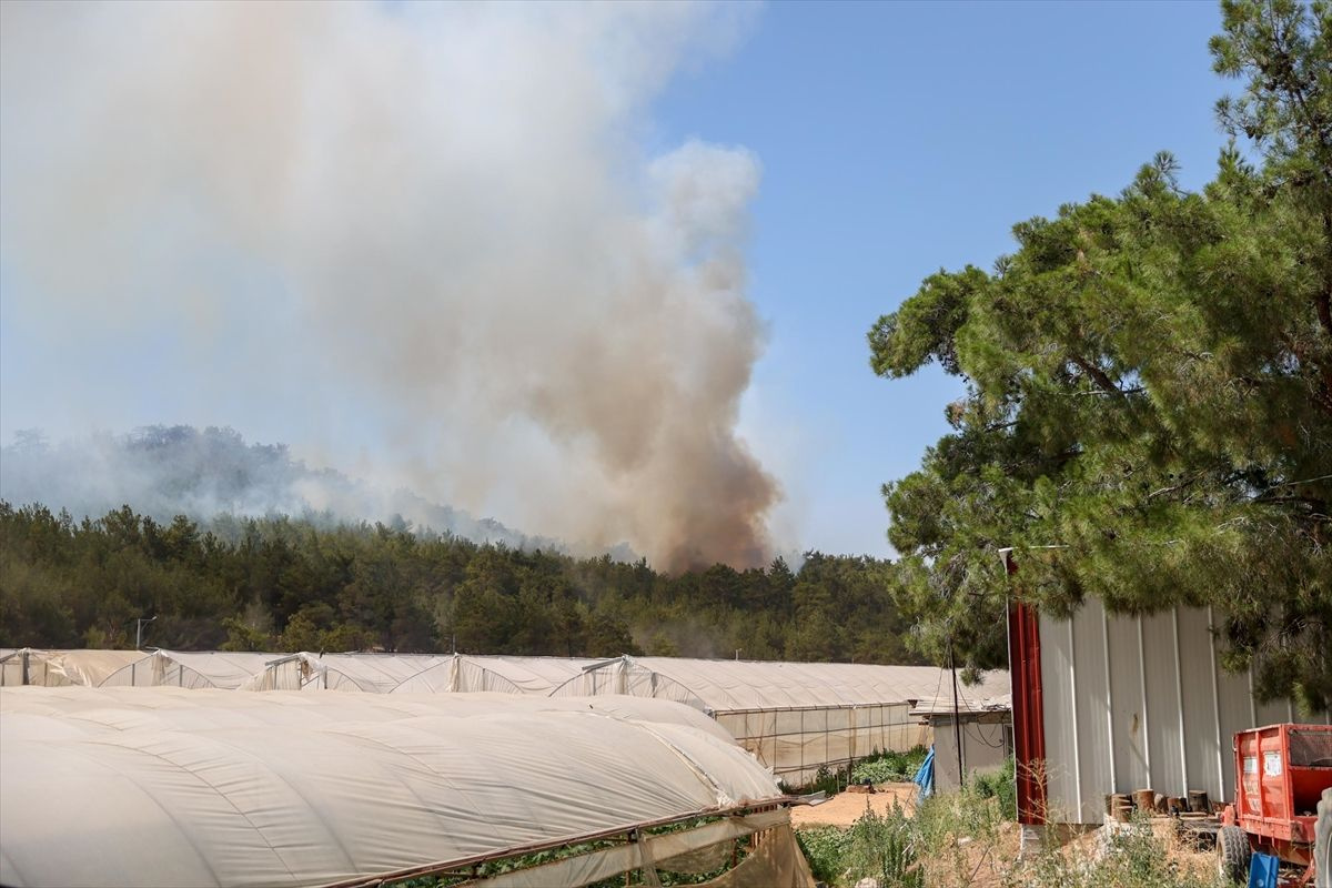 İzmir'de orman yangını! Alevler büyüdü, evler tahliye edildi, sirenler çalıyor