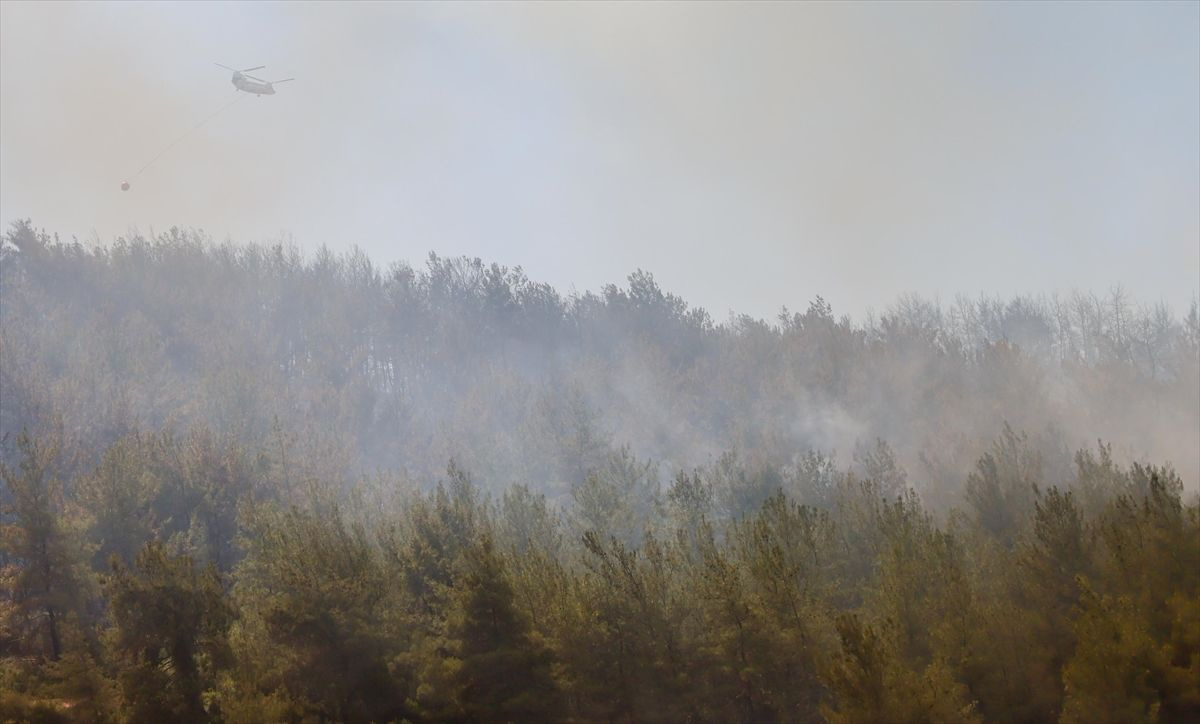 İzmir'de orman yangını! Alevler büyüdü, evler tahliye edildi, sirenler çalıyor