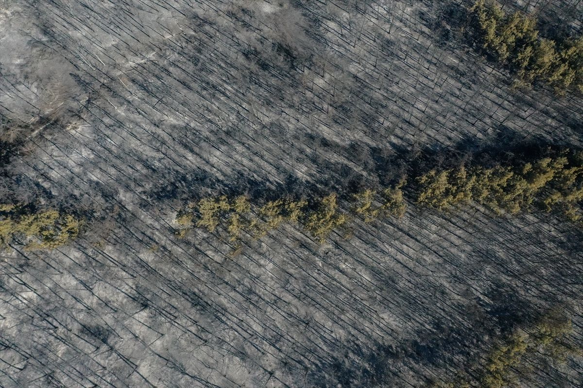 Bursa'da yangın sonrası üzüntüye boğan görüntü! Ormanlık alan dronla görüntülendi