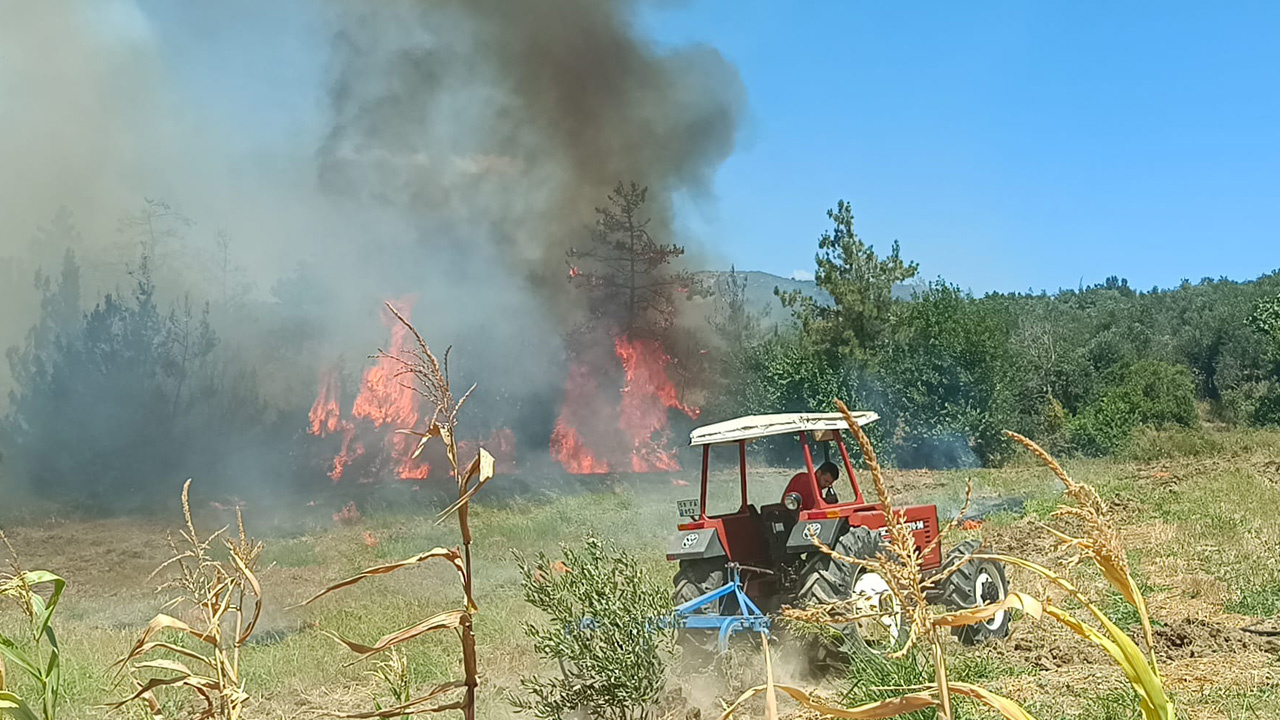 Adana'da çıkan anız yangını zeytinlik ve ormanlık alana sıçradı