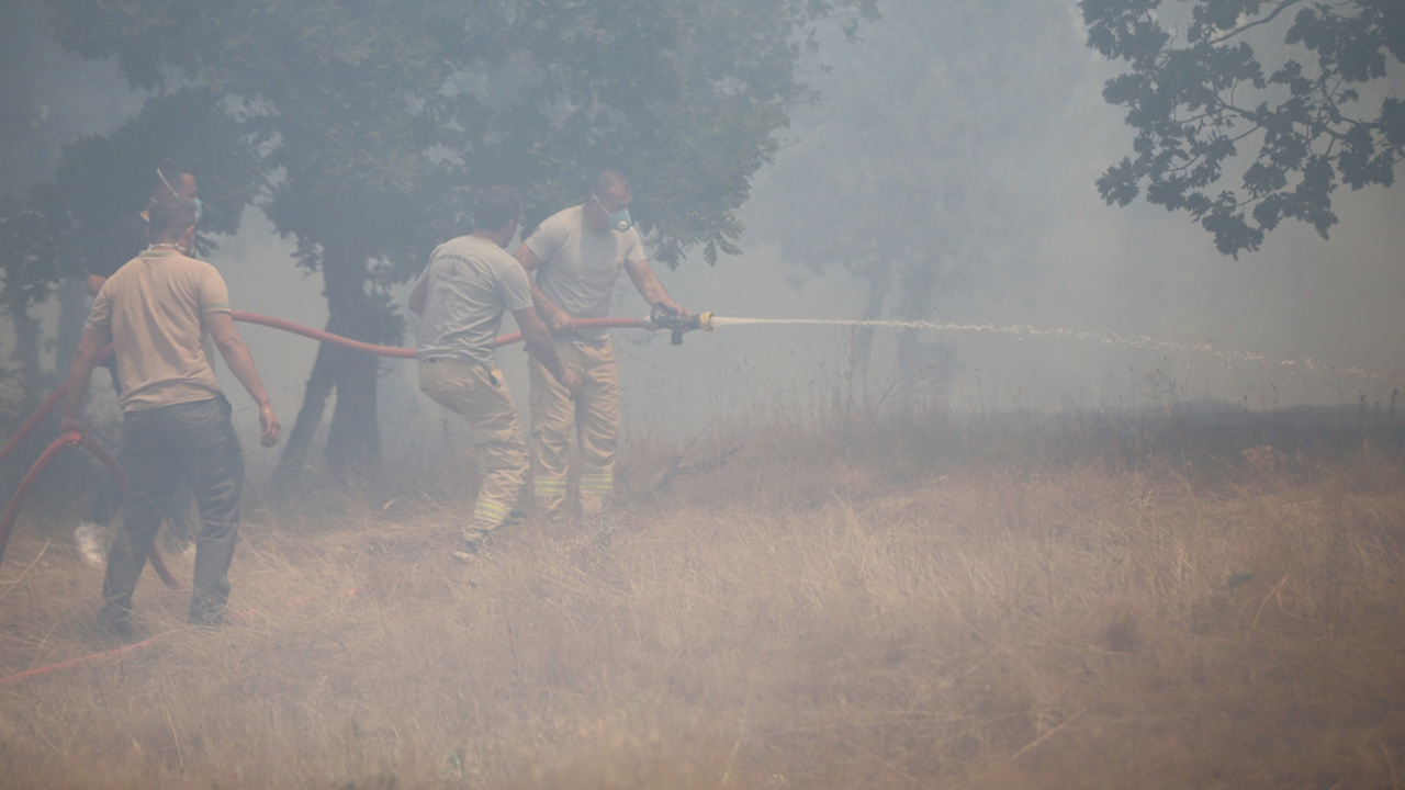 Edirne Lalapaşa'da orman yangını! Köylüler ve ekipler alevlere müdahale ediyor, yaralılar var!
