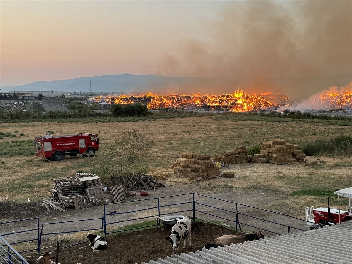 Aydın'da kağıt fabrikası yanıyor! Alevler her yeri sardı