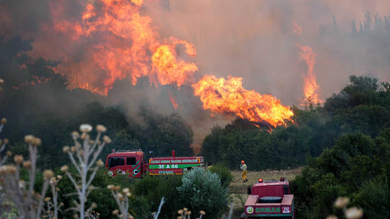 İzmir'in Gaziemir ve Buca ilçeleri arasında çıkan orman yangınına müdahale sürüyor.