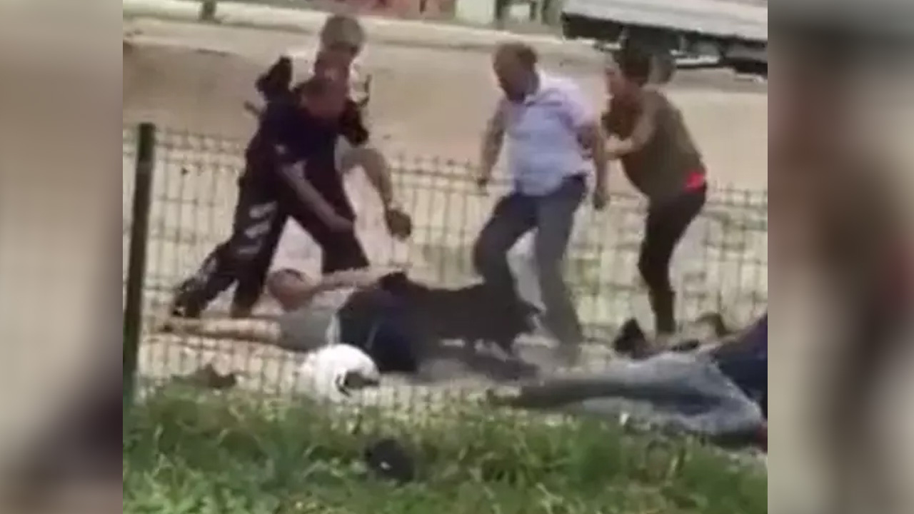 Ağızlıksız gezen yasaklı ırk köpek sokakta vatandaşa saldırdı, olaya polis müdahale etti