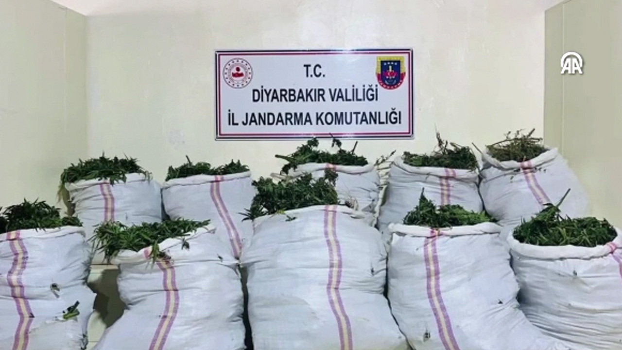 "Narkoçelik-28" operasyonlarında 59 şüpheli yakalandı, 2 tondan fazla uyuşturucu ele geçirildi