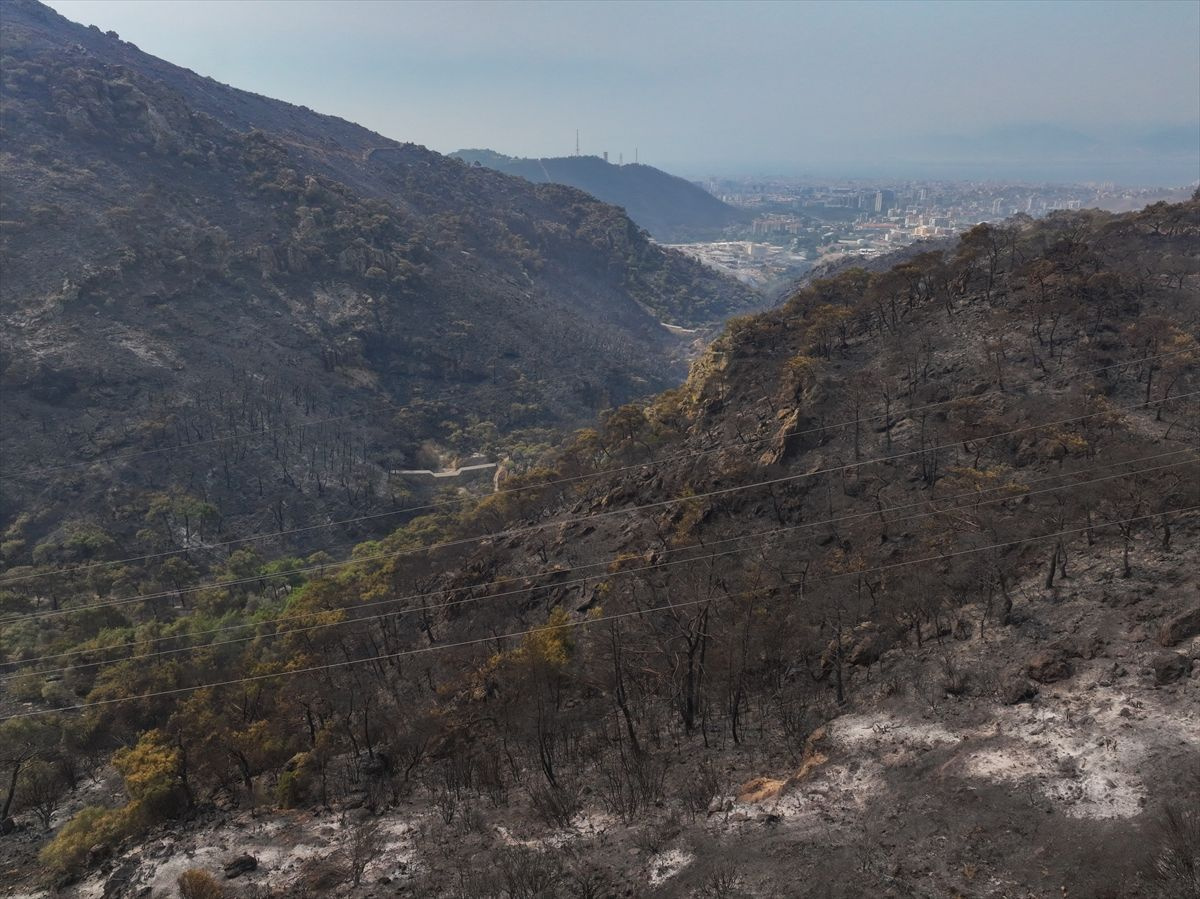 İzmir'de yanan alanlar havadan görüntülendi